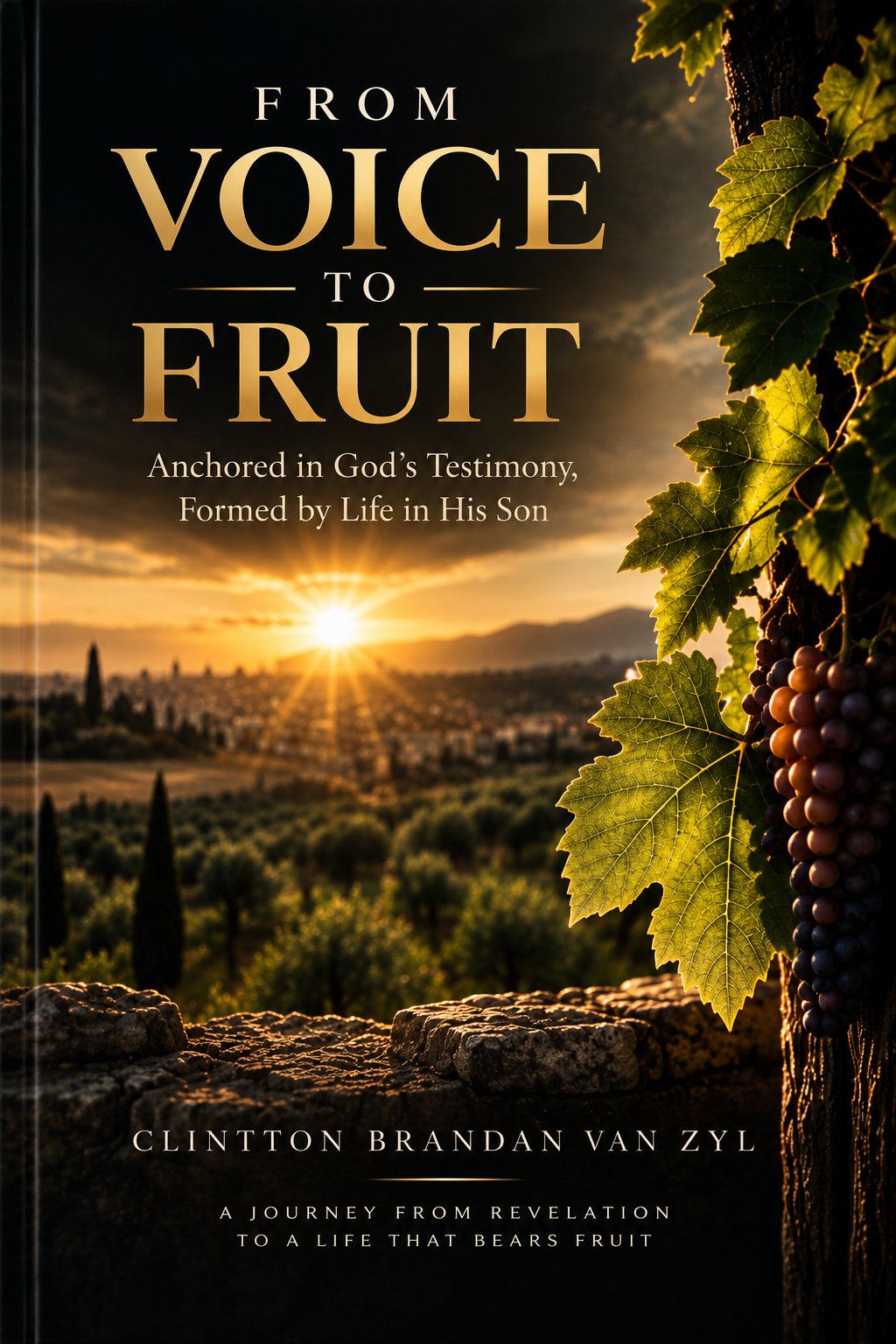 From Voice to Fruit cover